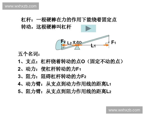 攻守平衡战略：探索如何在复杂环境中实现全面稳定与可持续发展